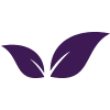 Purple Leaf Icon