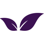 Purple Leaf Icon